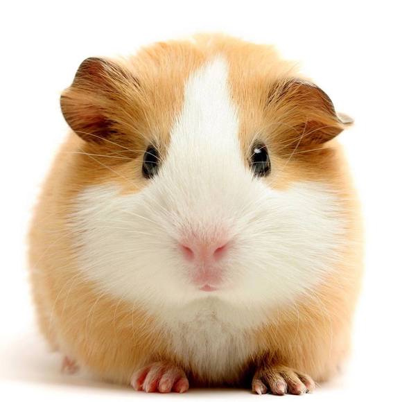qqq2016